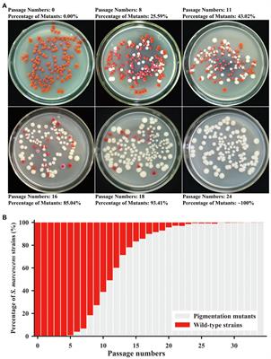 Transcriptomic Analysis Reveals Competitive Growth Advantage of Non-pigmented Serratia marcescens Mutants